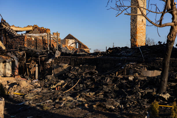 Reliable Odor Removal contractor in Silver Lake, NJ by Fire Damage Doption